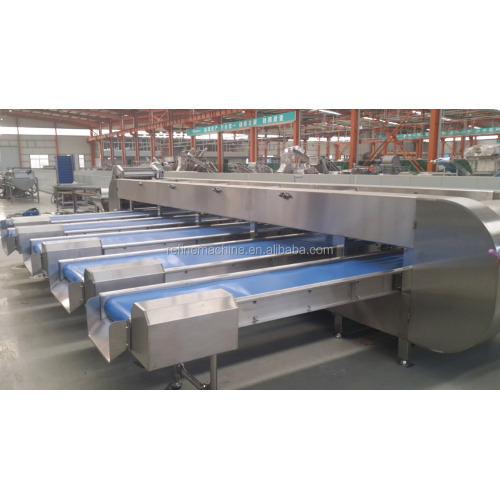 Round fruit Grading Machine for fruit processing line