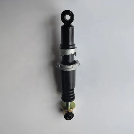 Renault 21171973 CB0211 Rear Cabin Shock Absorber Replacement