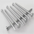 Cheap Galvanized hardened steel concrete steel nails