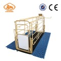 Solid Rod Gestation Stalls for Pig Farm Equipment