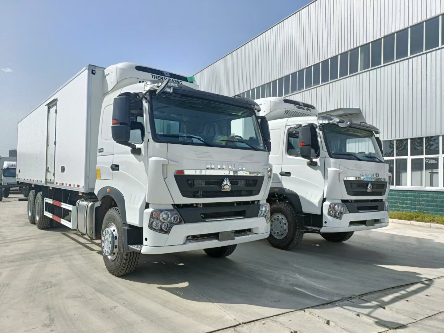 HOWO brand 3 axles heavy duty freezer truck