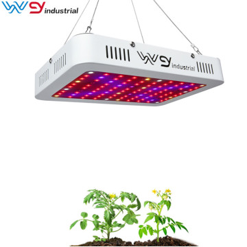 led grow panel 600Watt Double Chips Grow