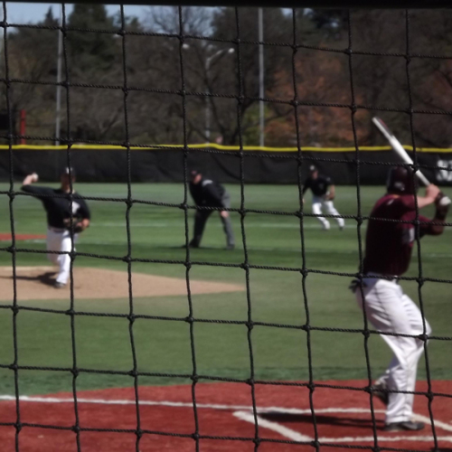 Polietilene reticolato di Baseball barriera