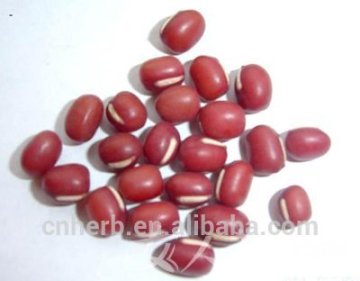 Dried Red bean,Rice bean,Ricebean,Phaseolus bean,Adsuki bean,Semen phaseoli,Vigna umbellata,Phaseolus anagularis,Chi dou,Food