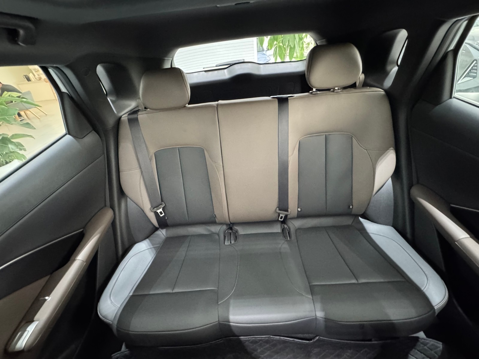 PHEV Smart New Blue Whale