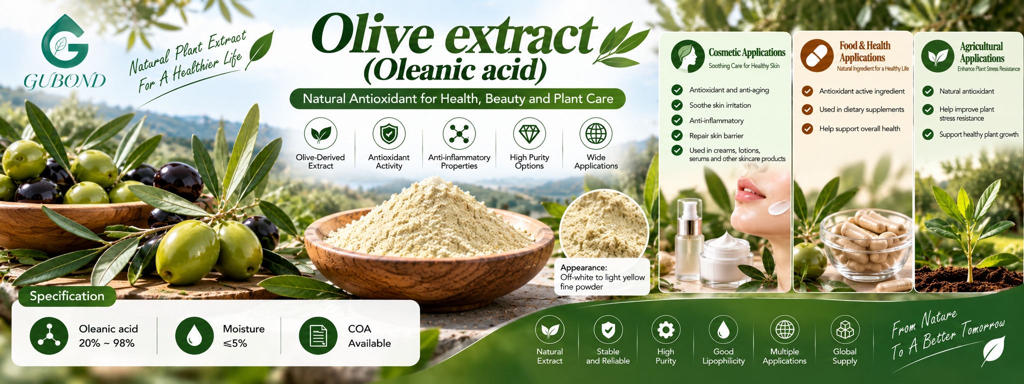 Olive extract (Oleanic acid) (6)