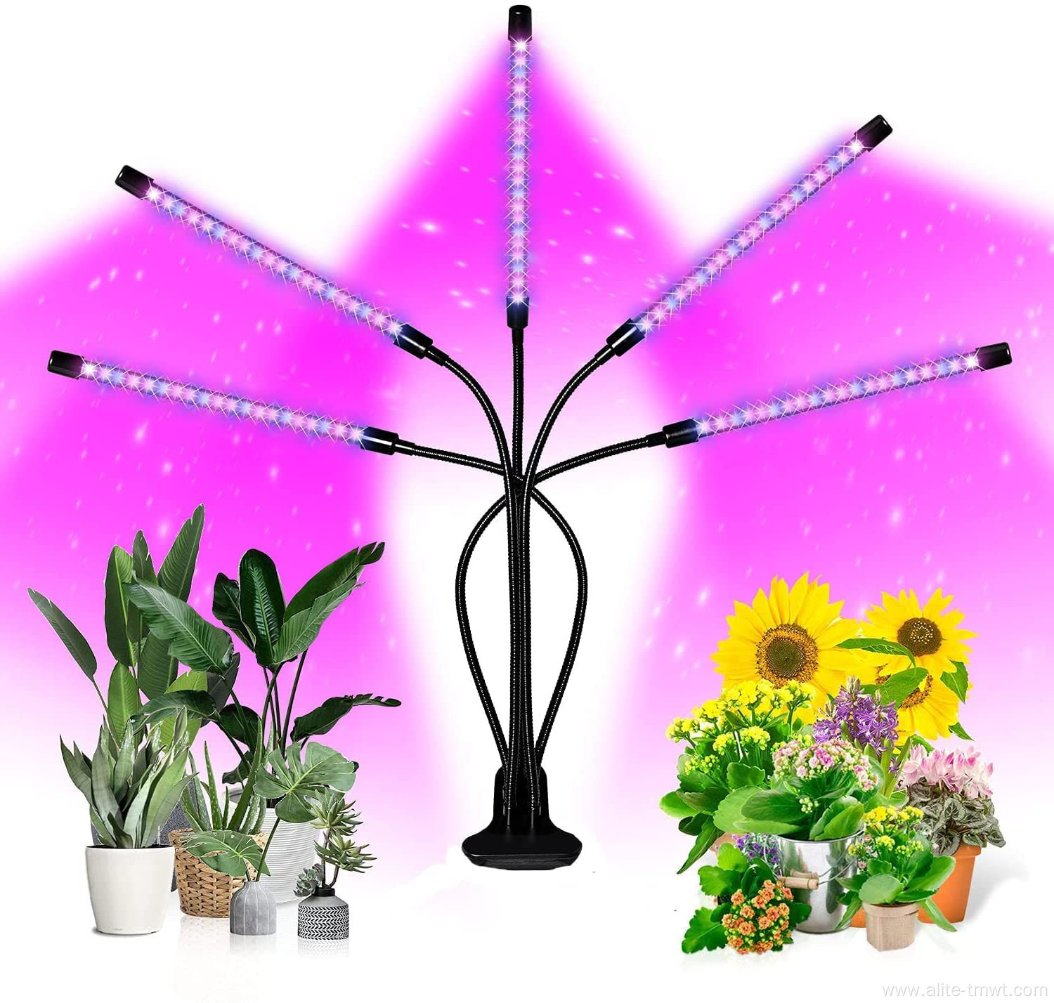 Grow Light with 3 Modes LED Lamp