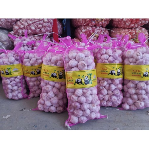 Bawang putih putih normal segar