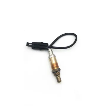 Old sail two plug automobile oxygen sensor