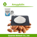 Anti-Cancer Bitter Almond Extract Amygdalin 98% Powder