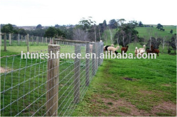 Factory direct sale Galvanized hinge joint knot field fence mesh for animals&hinge joint field fencing&horse farm fence