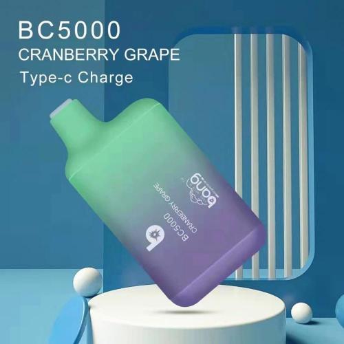 BANG 5000 12ML DISPOSABLE POD DEVICE