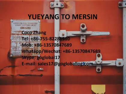Hunan Yueyang Sea Freight to Turkey Mersin