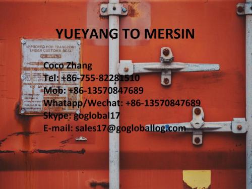 Hunan Yueyang Sea Freight en Turquie Mersin