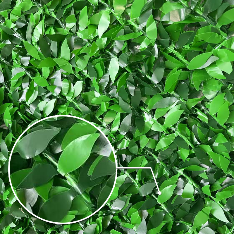 ຮົ້ວຄວາມເປັນສ່ວນຕົວຂອງຫຍ້າທຽມທີ່ເປັນມິດກັບສິ່ງແວດລ້ອມ