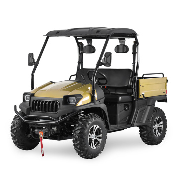 2022 Nuevo carrito de golf UTV de asiento tipo 4