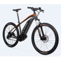 Mountain Cheap Fast Electric Bike