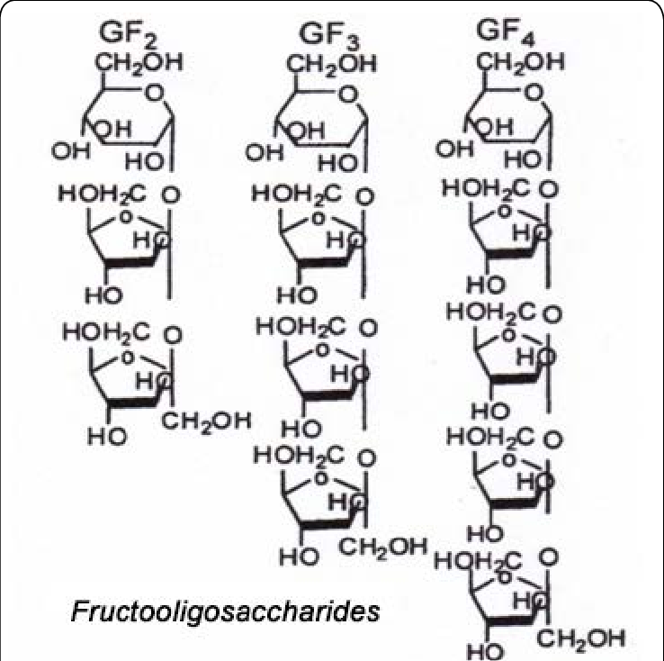 100% de poudre de fructo oligosachharide organique naturel 95%