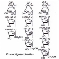 100% de poudre de fructo oligosachharide organique naturel 95%