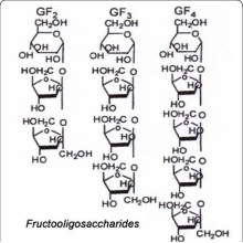 100% natural Organic Fructo-Oligosachharide Powder 95%