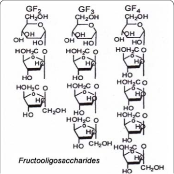 Polvere di frutto-oligosachharide organico al 100% 95%