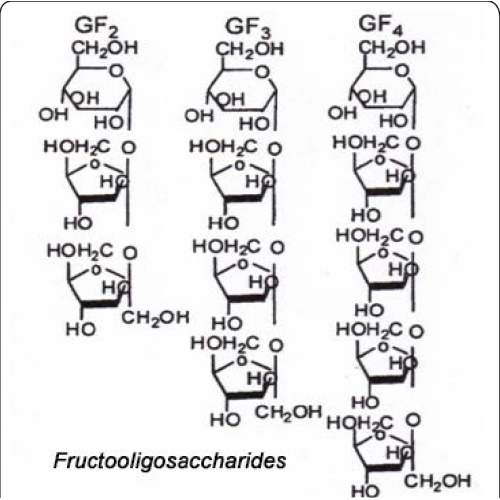 100% natural orgânico fruto-oligossachharide em pó 95%