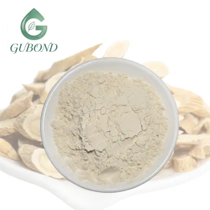 Astragalus Root Extract Powder for Nutritional Supplements