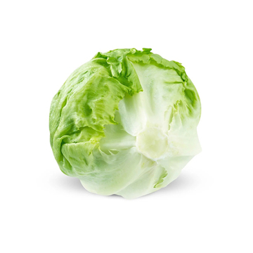 Fresh Iceberg Lettuce Heads for Export Market