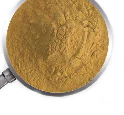 Citrus lemon dwarf citrus orange trees