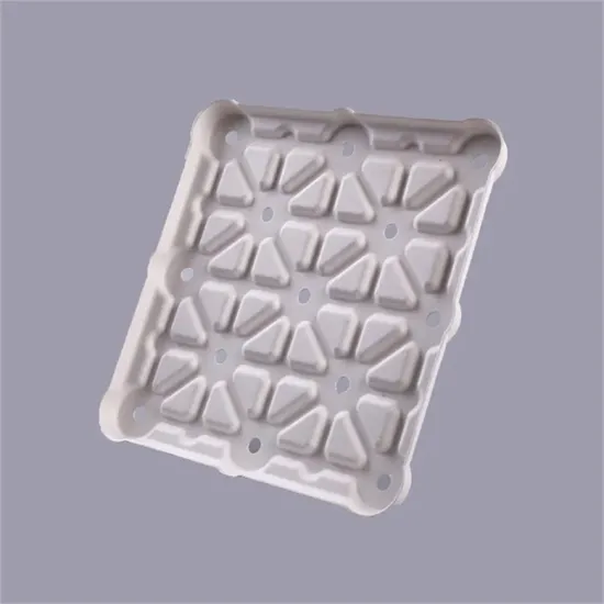 Eco-friendly Pulp Molded Pizza Packaging Box Serving Tray