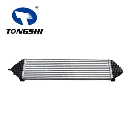 Auto Intercooler Assy for FORE DXCAPE 1.6L 13-15 OEM BV6Z-6K775-B