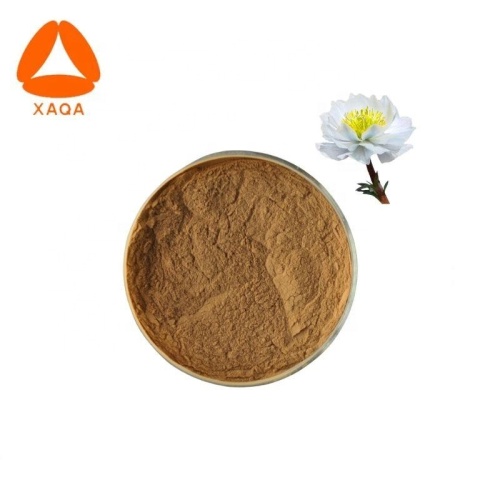 Plant Extracts Vegan Snow lotus powder Saussurea involucrata extract 30:1 Supplier