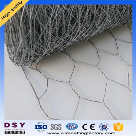 Electro-galvanized Hexagonal Wire Mesh