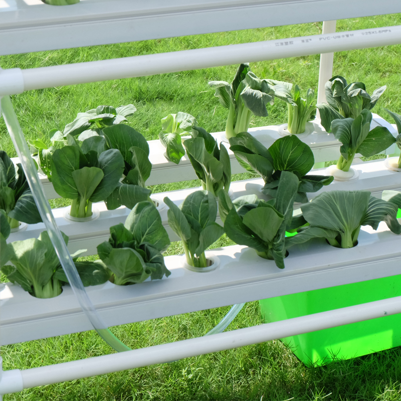 Plastic NFT gully hydroponic growing systems