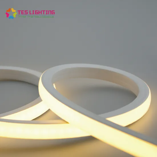 led strip outdoor lights flex neon ip68