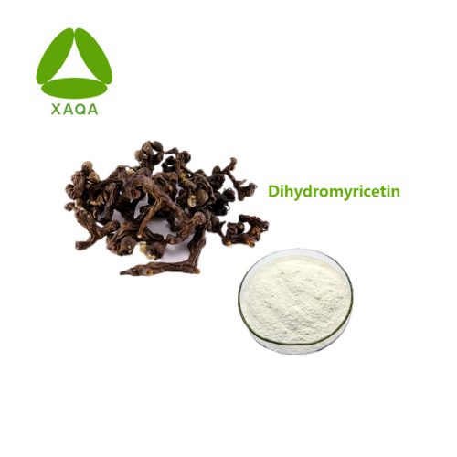 China Semen Hoveniae Extract DHM Dihydromyricetin 90% Powder Factory
