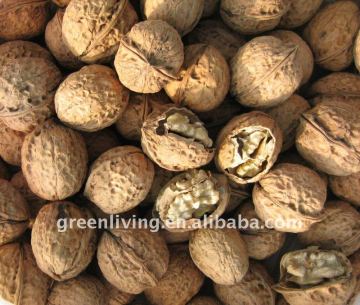 China walnuts for sale