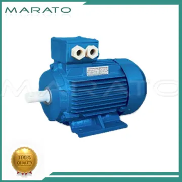 single phase electric motor