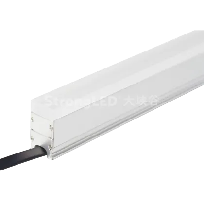 LED Façade Lear Lights RGBW 2200K 5000K CX3C