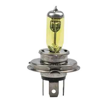 CQHZJ High Quality Motorcycle Bulbs: Halogen & LED Wholesales