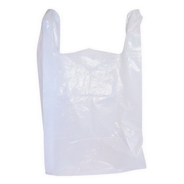 Customized Carry Take Out Shopping Plastic Bag With Logo Print
