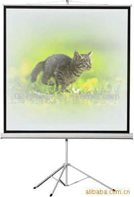 Portable tripod projection screen