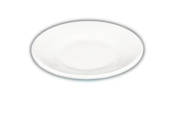 Flat Round Melamine Dinner Plate