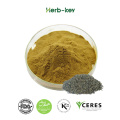 Natural Organic Apocynum Venetum Extract Powder