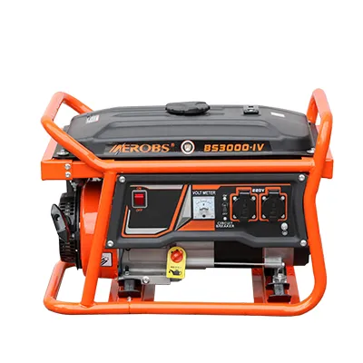 2.5kW Dual Fuel 220V Gasoline and Natural Gas Generator 2500W 50Hz