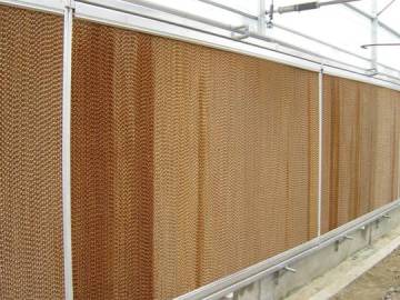 Jinfeng Pad for Cooling