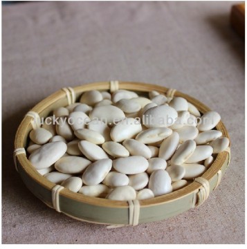 sell chinese new crop white flat kidney bean