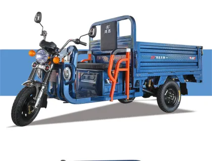 Elderly mobility vehicle electric tricycle