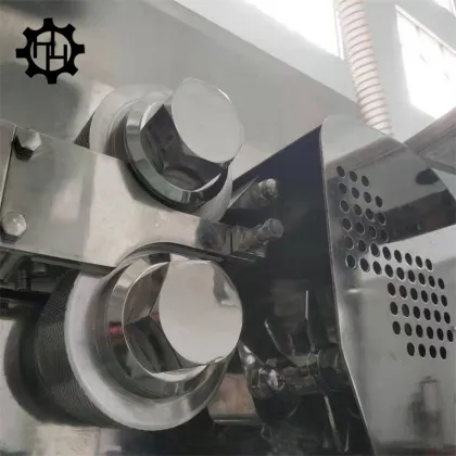 Roller Compactor for Dry Granulation