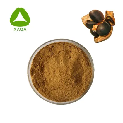 Tea Tree Seed Extract Tea Saponin 98% Powder